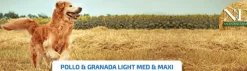 ND Ancestral MediumMaxi LIGHT Pollo Granada perros medianos y grandes