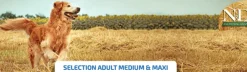 ND Ancestral SELECTION MediumMaxi Pollo Granada perros medianos y grandes 12+3 kg