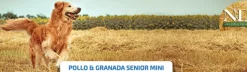 ND Ancestral SENIOR Mini Pollo Granada perros mini adultos 2,5 kg