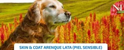 ND dog quinoa lata Arenque skin coat perros 6×285 g