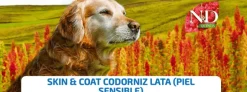 ND dog quinoa lata CODORNIZ skin coat perros 6×285 g