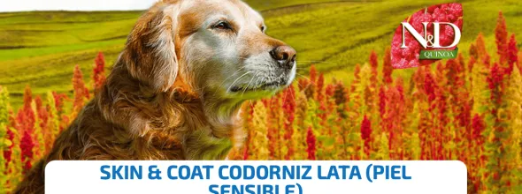 ND dog quinoa lata CODORNIZ skin coat perros 6×285 g