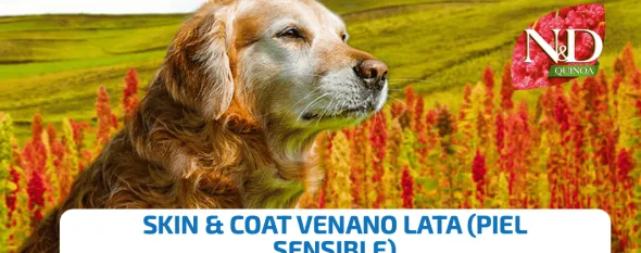 ND dog quinoa lata VENADO skin coat perros 6×285 g