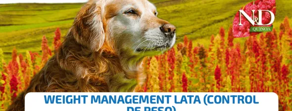 ND dog quinoa lata WEIGHT MANAGEMENT perros 6×285 g