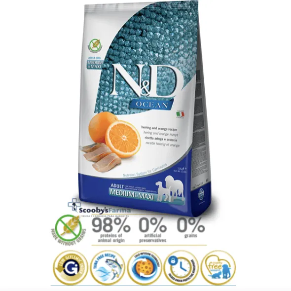 ND Ocean bacalao calabaza naranja perros adultos mini