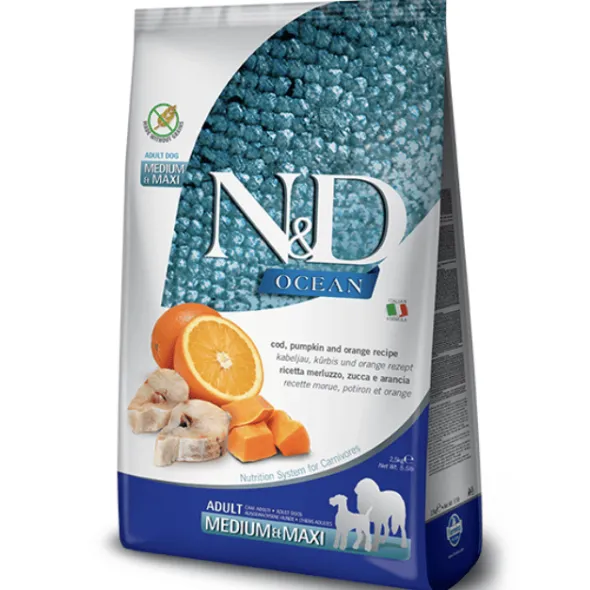 ND Ocean dog bacalao calabaza naranja perros adultos medium maxi