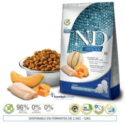 ND Ocean puppy medium-maxi Bacalao Calabaza Melón cachorros