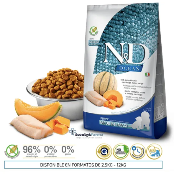 ND Ocean puppy medium-maxi Bacalao Calabaza Melón cachorros