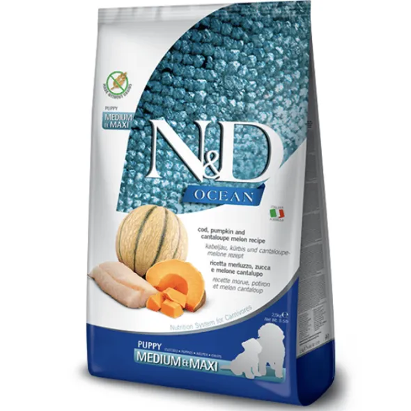 ND Ocean puppy medium-maxi Bacalao Calabaza Melón cachorros