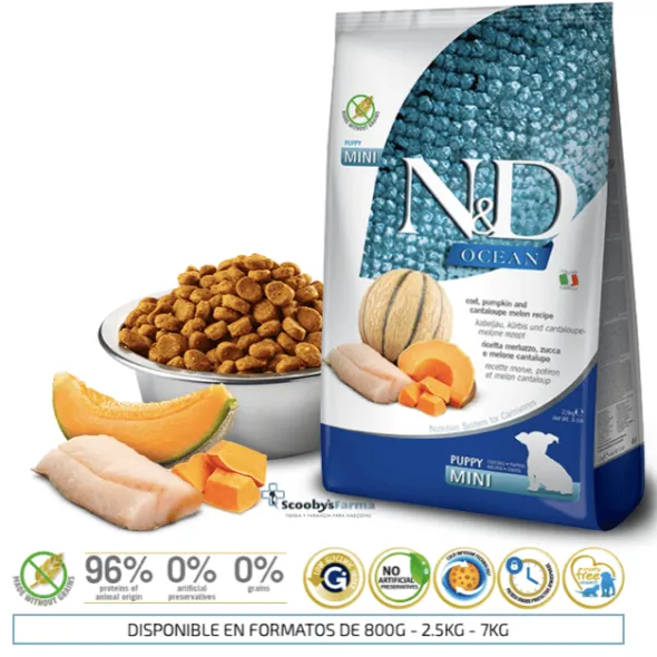 ND Ocean Puppy Mini Bacalao calabaza melón cachorros