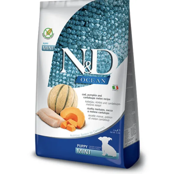 ND Ocean Puppy Mini Bacalao calabaza melón cachorros