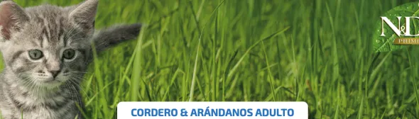 ND Prime Cat Cordero Arándanos SIN CEREALES gatos adultos