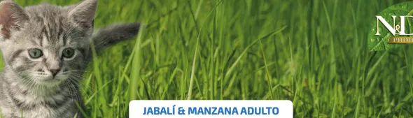 ND Prime Cat Jabalí Manzana SIN CEREALES gatos adultos