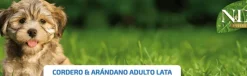 ND Prime dog lata Cordero Arándanos SIN CEREALES perros 6×285 g