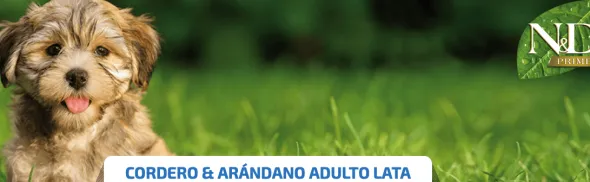 ND Prime dog lata Cordero Arándanos SIN CEREALES perros 6×285 g