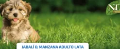 ND Prime dog lata Jabalí Manzana SIN CEREALES perros adultos 6×285 g