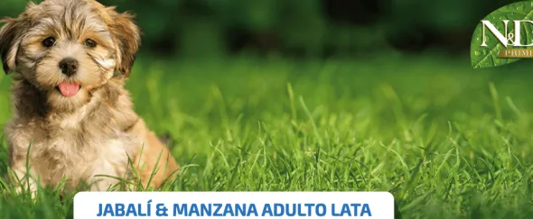 ND Prime dog lata Jabalí Manzana SIN CEREALES perros adultos 6×285 g