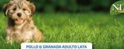 ND Prime dog lata pollo granada SIN CEREALES perros adultos 6×285 g