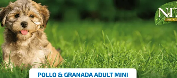 ND Prime dog mini pollo granada SIN CEREALES perros adultos mini