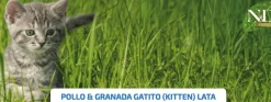 ND Prime KITTEN latas Pollo Granada SIN CEREALES gatitos
