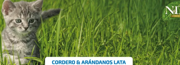 ND Prime lata Cordero Arándanos SIN CEREALES gatos adultos