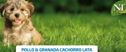 ND Prime Puppy lata pollo granada SIN CEREALES cachorros 6×285 g