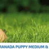 ND Prime Puppy MediumMaxi pollo granada SIN CEREALES cachorros medianos grandes 12 kg