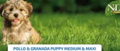 ND Prime Puppy MediumMaxi pollo granada SIN CEREALES cachorros medianos grandes 12 kg