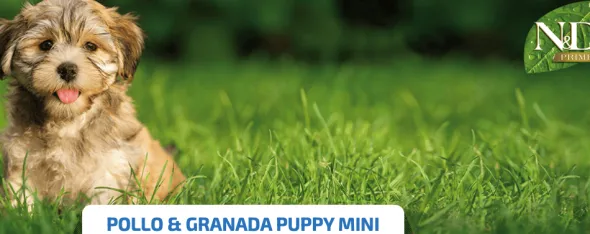 ND Prime Puppy pollo granada SIN CEREALES cachorros mini 2,5 kg