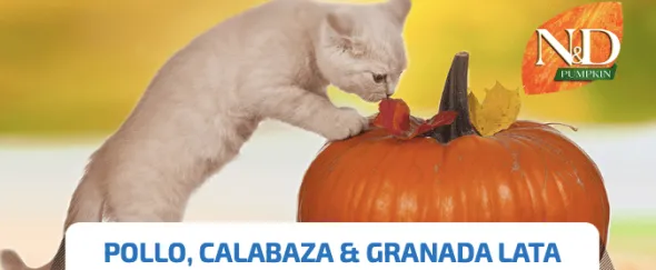 ND Pumpkin Cat lata Pollo Calabaza Granada SIN CEREALES gatos adultos