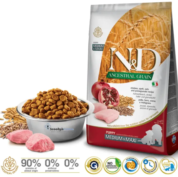 ND PUPPY MediumMaxi Ancestral Pollo Granada cachorros
