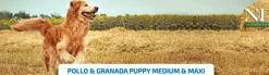 ND PUPPY MediumMaxi Ancestral Pollo Granada cachorros
