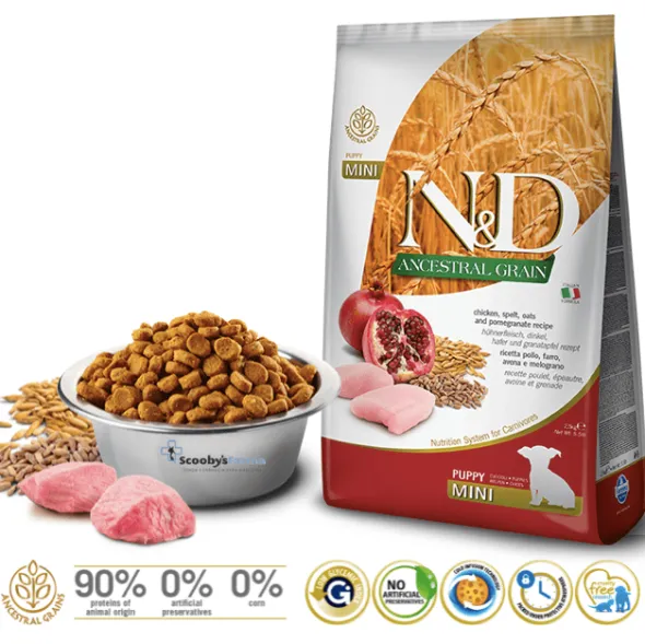 ND PUPPY mini Ancestral Pollo Granada cachorros