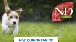 ND Quinoa dog MINI skin coat Arenque pieles sensibles perros MINI 2,5kg