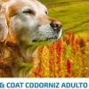 ND Quinoa dog MINI skin coat CODORNIZ pieles sensibles perros MINI 2,5kg