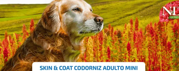 ND Quinoa dog MINI skin coat CODORNIZ pieles sensibles perros MINI 2,5kg