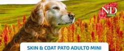 ND Quinoa dog MINI skin coat PATO pieles sensibles perros MINI 2,5kg