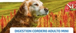 ND QUINOA mini Dog digestion Cordero perros adultos raza pequeña