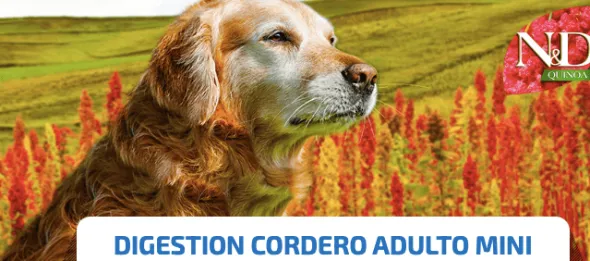 ND QUINOA mini Dog digestion Cordero perros adultos raza pequeña