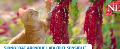 ND Quinoa Skin Coat ARENQUE lata gatos piel sensible