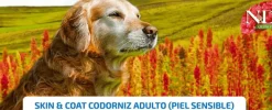 ND Quinoa skin coat CODORNIZ pieles sensibles perros todas las razas