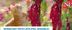 ND Quinoa Skin Coat pato lata gatos piel sensible 24×80 g