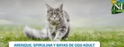 ND SPIRULINA Cat Arenque y Bayas de Goji gato adulto 1,5 kg