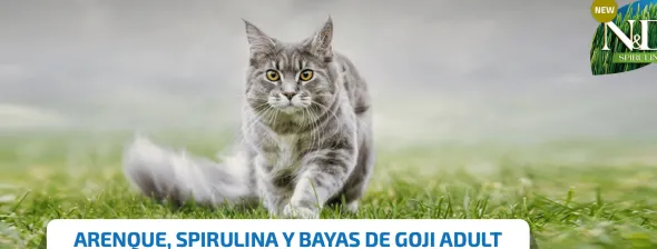 ND SPIRULINA Cat Arenque y Bayas de Goji gato adulto 1,5 kg