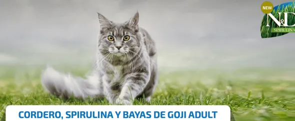 ND SPIRULINA Cat Cordero y Bayas de Goji gato adulto 1,5 kg