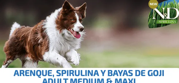 ND Spirulina Dog med-maxi Arenque perros adultos