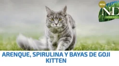 ND SPIRULINA Kitten Arenque y Bayas de Goji gatitos 1,5 kg