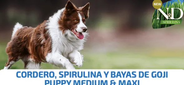 ND Spirulina Puppy med-maxi Cordero