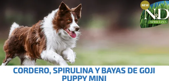 ND Spirulina Puppy mini Cordero 2 kg