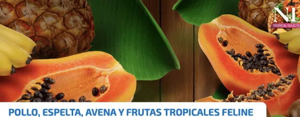 ND TROPICAL cat Pollo gatos adultos